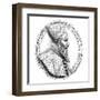 Marcantonio Memmo-null-Framed Art Print