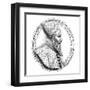 Marcantonio Memmo-null-Framed Art Print