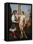 Marcantonio Pasqualini Crowned by Apollo, 1641-Andrea Sacchi-Framed Stretched Canvas