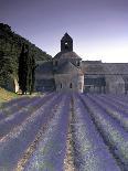 Abbey De Senanque, Provence, France-Marcel Malherbe-Photographic Print