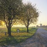 Friesland, Agricultural Landscape and Farm at Oosterzee-Marcel Malherbe-Photographic Print