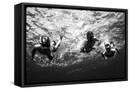 Framed Canvas