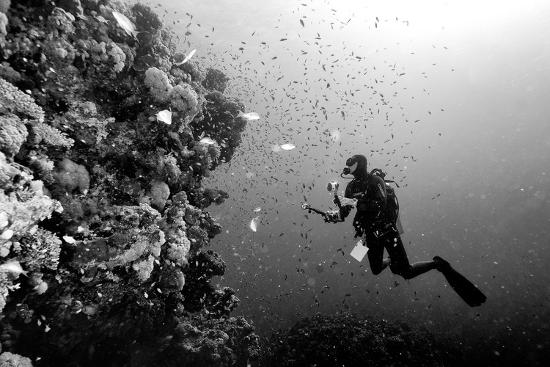 Photographic Print, , large