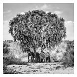 Man at work-Marcel Rebro-Photographic Print