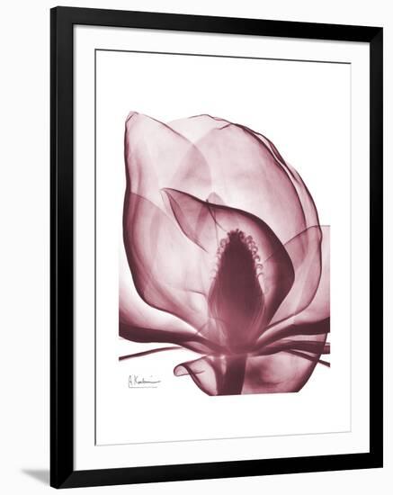 Marcela Magnolia-Albert Koetsier-Framed Art Print