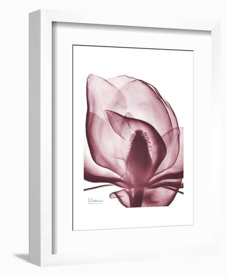 Marcela Magnolia-Albert Koetsier-Framed Art Print