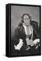 Marceline Desbordes-Valmore, French Poet, 1859-null-Framed Stretched Canvas