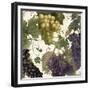 Marcella II-null-Framed Giclee Print