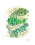Parsley Sage Rosemary Thyme-Marcella Kriebel-Laminated Art Print