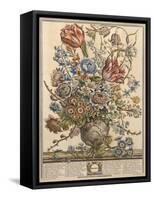 March, from 'Twelve Months of Flowers' by Robert Furber (C.1674-1756) Engraved by Henry Fletcher-Pieter Casteels-Framed Stretched Canvas