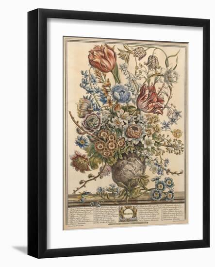 March, from 'Twelve Months of Flowers' by Robert Furber (C.1674-1756) Engraved by Henry Fletcher-Pieter Casteels-Framed Giclee Print