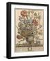 March, from 'Twelve Months of Flowers' by Robert Furber (C.1674-1756) Engraved by Henry Fletcher-Pieter Casteels-Framed Giclee Print