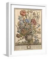 March, from 'Twelve Months of Flowers' by Robert Furber (C.1674-1756) Engraved by Henry Fletcher-Pieter Casteels-Framed Giclee Print