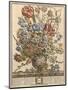 March, from 'Twelve Months of Flowers' by Robert Furber (C.1674-1756) Engraved by Henry Fletcher-Pieter Casteels-Mounted Giclee Print