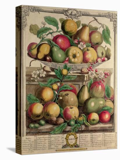 March, from "Twelve Months of Fruits", by Robert Furber, 1732-Pieter Casteels-Stretched Canvas