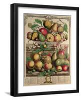 March, from "Twelve Months of Fruits", by Robert Furber, 1732-Pieter Casteels-Framed Giclee Print
