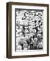 March of the Workers, Mexico City, 1926-Tina Modotti-Framed Giclee Print