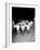 March on Washington 1963-null-Framed Photographic Print