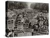 March on Washington, African Americans with Civil Rights Signs, Aug. 28, 1963-null-Stretched Canvas