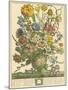 March-Robert Furber-Mounted Art Print