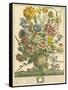 March-Robert Furber-Framed Stretched Canvas