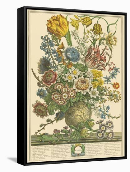 March-Robert Furber-Framed Stretched Canvas