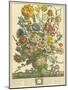 March-Robert Furber-Mounted Premium Giclee Print