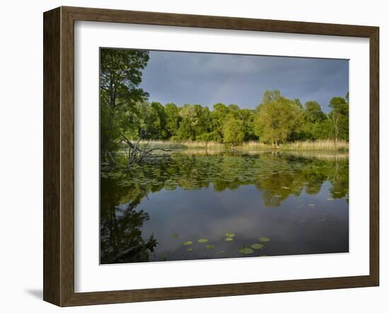 Marchauen, Austria-Rainer Mirau-Framed Photographic Print