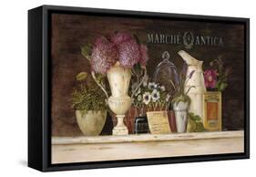 Marche Antica Vignette-Angela Staehling-Framed Stretched Canvas