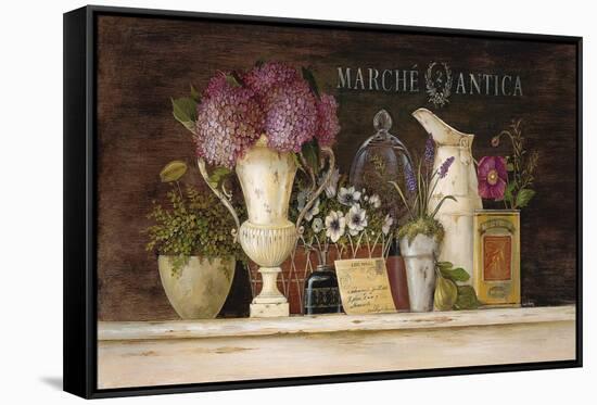 Marche Antica Vignette-Angela Staehling-Framed Stretched Canvas