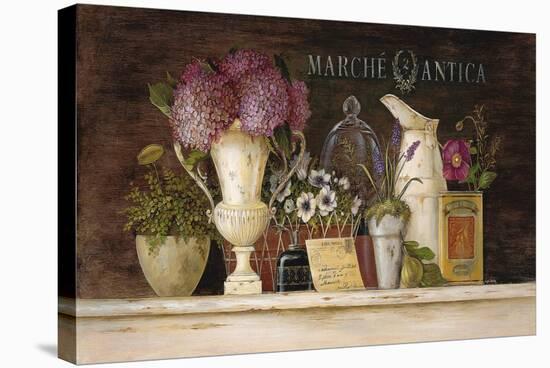 Marche Antica Vignette-Angela Staehling-Stretched Canvas