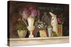 Marche Antica Vignette-Angela Staehling-Stretched Canvas