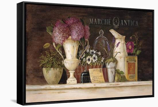 Marche Antica Vignette-Angela Staehling-Framed Stretched Canvas