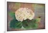 Marche? Aux Fleur - Flower Market-Cora Niele-Framed Giclee Print