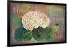 Marche? Aux Fleur - Flower Market-Cora Niele-Framed Giclee Print