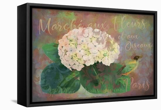 Marche? Aux Fleur - Flower Market-Cora Niele-Framed Stretched Canvas