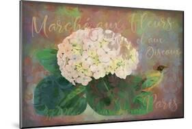 Marche? Aux Fleur - Flower Market-Cora Niele-Mounted Giclee Print