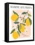 Marche aux Fruits II-Laura Marshall-Framed Stretched Canvas