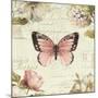 Marche de Fleurs Butterfly I-Lisa Audit-Mounted Art Print