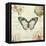 Marche de Fleurs Butterfly II-Lisa Audit-Framed Stretched Canvas