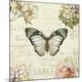 Marche de Fleurs Butterfly II-Lisa Audit-Mounted Art Print