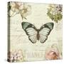 Marche de Fleurs Butterfly II-Lisa Audit-Stretched Canvas