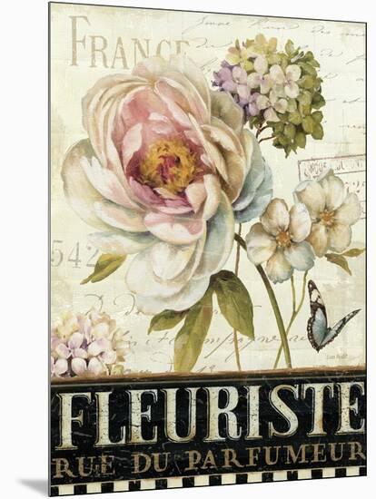 Marche de Fleurs III-Lisa Audit-Mounted Art Print