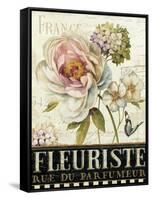 Marche de Fleurs III-Lisa Audit-Framed Stretched Canvas