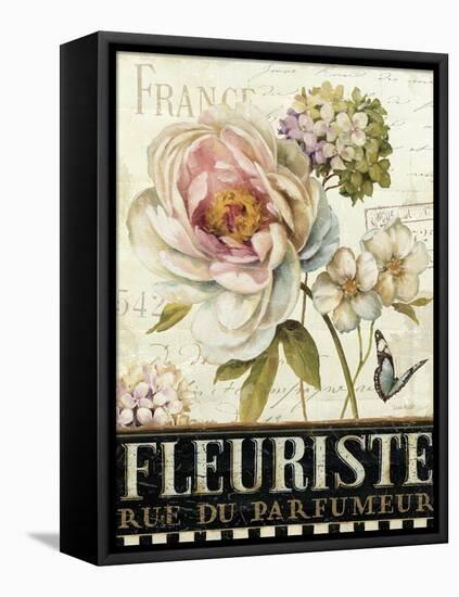 Marche de Fleurs III-Lisa Audit-Framed Stretched Canvas