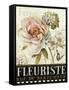 Marche de Fleurs III-Lisa Audit-Framed Stretched Canvas