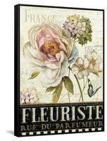 Marche de Fleurs III-Lisa Audit-Framed Stretched Canvas