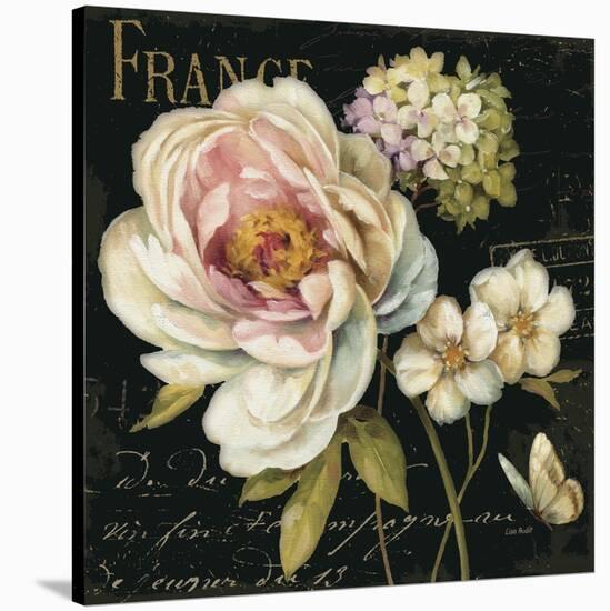 Marche de Fleurs on Black-Lisa Audit-Stretched Canvas