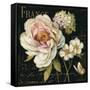 Marche de Fleurs on Black-Lisa Audit-Framed Stretched Canvas