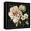 Marche de Fleurs on Black-Lisa Audit-Framed Stretched Canvas